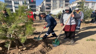 Sincan Belediye Başkanı Ercan: Sincanda kişi başına düşen yeşil alan için 15 metrekare civarında bir alandan söz edebiliriz
