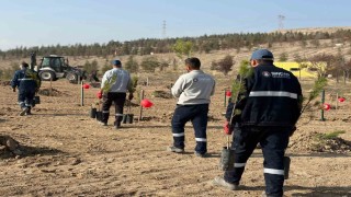 Sincan Belediyesinden kadına yönelik şiddete karşı anlamlı etkinlik