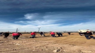 Sincanda öğrenciler geleceğe nefes oldu