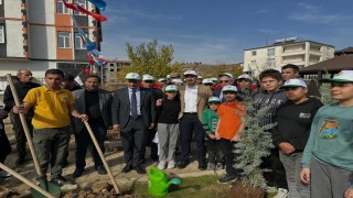 Sincikte fidanlar toprakla buluştu