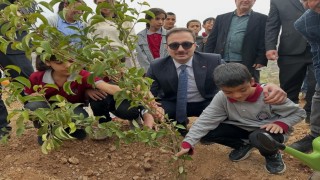 Sincikte öğrencilerden yeşil bir gelecek için fidan dikimi