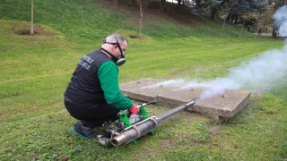 Sinekle mücadelede kışlık uygulama modeline geçildi