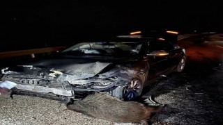 Sinop Belediye Başkanı Gürbüzün makam aracı domuz sürüsüne çarptı