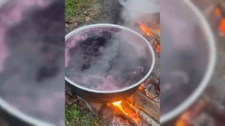 Sinop köylerinde kazanlar kaynıyor: Kışlık pekmez mesaisi