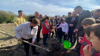 Sinopta 3 bin 860 fidan toprakla buluştu