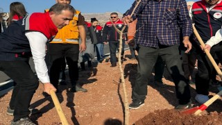 Şırnak-Cizre karayolu refüjünde 365 fidanlık ağaç dikimi yapıldı