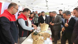 Şırnakta 25 bin ton yer fıstığı rekoltesi bekleniyor