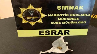 Şırnakta 5 milyon liralık kaçak malzeme ele geçirildi