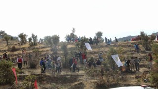 Şırnakta Adliye Hatıra Ormanı kuruldu