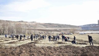 Sivas OSBde yeşil dönüşüm binlerce fidan toprakla buluşuyor