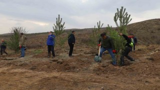 Sivasta 58 bin fidan toprakla buluşturuldu