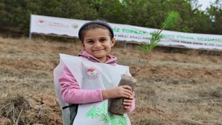 Sivasta 90 bin fidan toprakla buluştu