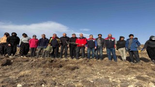 Sivasta meralar on binlerce tuz çalısı ile yeşerecek