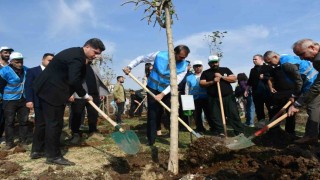 Siverekte fidanlar geleceğe nefes olacak