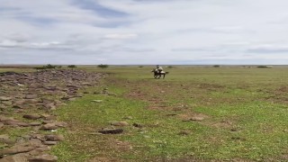 Siverekte ilginç anlar kameraya yansıdı