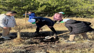 Sivricede fidan dikme etkinliği düzenlendi