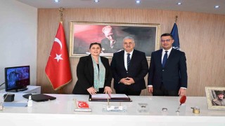 Sokak hayvanları için doğal yaşam alanı oluşturulacak