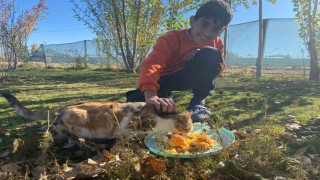 Sokak hayvanlarını elleriyle besliyor, onlara yuva oluyor