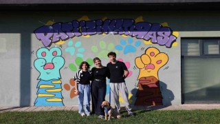 Sokaktan sıcacık yuvaya: ‘Pati İzinde 500 can dost yeni hayatına kavuştu