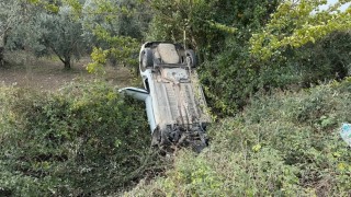 Sollama yaparken zeytinliğe uçtu