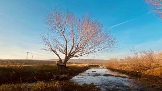 Sonbaharda sararan yapraklar görsel şölen oluşturdu