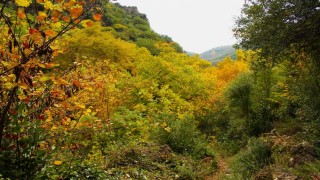 Sonbaharın güzelliğine bürünen Koçak Kanyonuna dikkat çektiler
