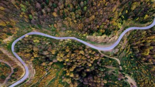 Sonbaharın renkleri Çam Dağını baştan sona sardı