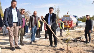 SÜde Milli Ağaçlandırma Gününde yüzlerce fidan dikildi