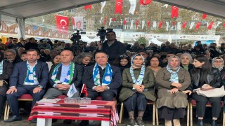 Sultangazide 8. Hamsi Festivali coşkusu