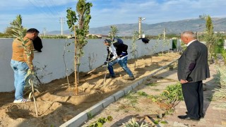 Sultanhisarda can dostları için yeşil dokunuş