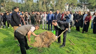 Sultanhisarda fidanlar toprakla buluştu