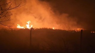 Sülüklü Gölde kamışlar alev aldı