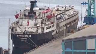 Susuzluktan boru yalayan inekler