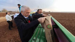 Tahmazoğlu dağıttığı tohumları çiftçilerle ekti