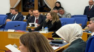 Tamer Osmanağaoğlundan bütçe görüşmelerinde Aliağa vurgusu