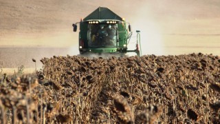 Tarım-ÜFE Ekim 2025 Verileri Açıklandı