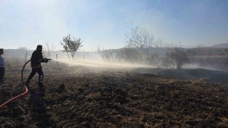 Tarlada çıkan yangın söndürüldü