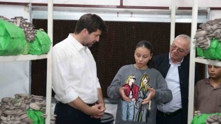 Tarsusta istiridye mantarı kursunda ilk hasat sevinci