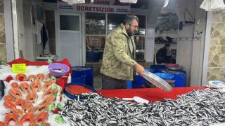 Tavşanlı balık pazarında en çok hamsi ilgi görüyor