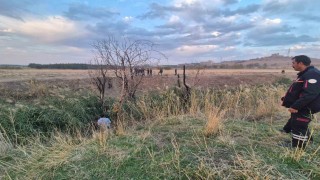 Tedavi gördüğü hastaneden ayrıldıktan sonra sazlık alanda ölü bulundu