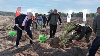 TEIden 17 bin fidanlık 40. Yıl Hatıra Ormanı