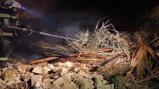 Tek katlı evdeki yangın korkuttu