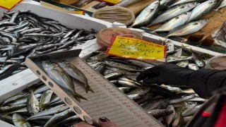 Tekirdağda balık tezgahlarına sıkı denetim: Boy ölçümleriyle sürdürülebilir avcılığa destek