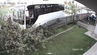 Tekirdağda servis minibüsü ağaca çarptı: 1 yaralı