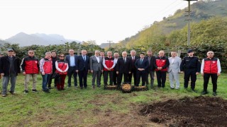 Tescilli Ordu kivisinde hasat başladı: İlin ekonomisine 520 milyon TL katkı