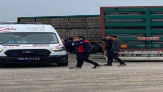 Tırın altında kalan yaşlı adam hayatını kaybetti