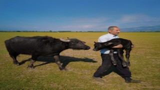 Tokatlı fırın ustasının Paristeki ödül sevinci vize engeline takıldı