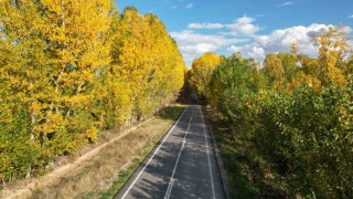 Tokatta belediyenin yaprakları temizlemediği parklarda renk cümbüşü oluştu