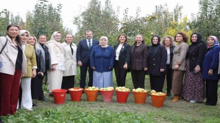 Topuklu iş kadınları ile şalvarlı köylü kadınları aynı tarlada