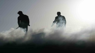 Torlukçuların dumanlı hayatı: Zor şartlarda üretilen kömürün tonu 28 bin liradan satılıyor